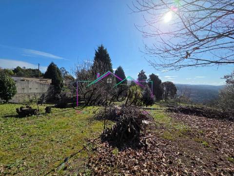 Terreno  Venda em Pinheiro da Bemposta, Travanca e Palmaz,Oliveira de Azeméis