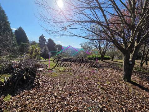 Terreno  Venda em Pinheiro da Bemposta, Travanca e Palmaz,Oliveira de Azeméis