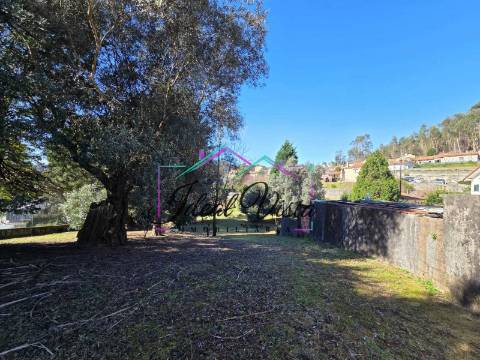 Terreno  Venda em Pinheiro da Bemposta, Travanca e Palmaz,Oliveira de Azeméis