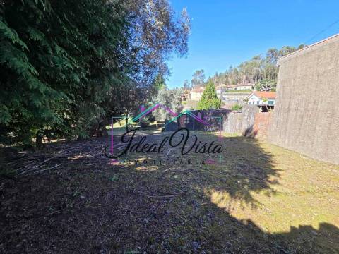Terreno  Venda em Pinheiro da Bemposta, Travanca e Palmaz,Oliveira de Azeméis