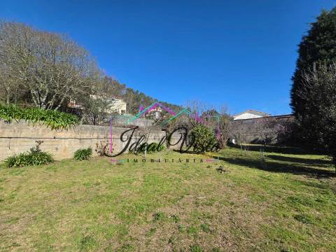 Terreno  Venda em Pinheiro da Bemposta, Travanca e Palmaz,Oliveira de Azeméis