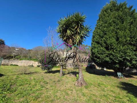 Terreno  Venda em Pinheiro da Bemposta, Travanca e Palmaz,Oliveira de Azeméis