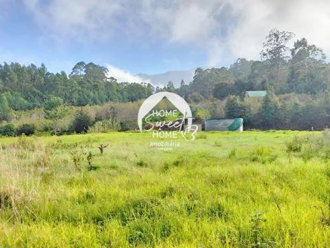 Quinta