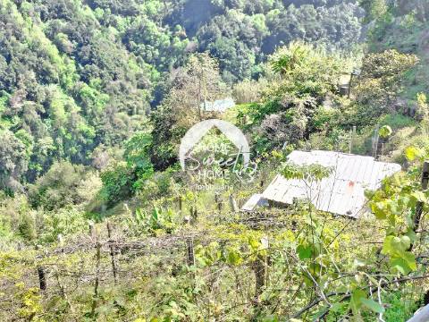 Terreno Rústico para construir, junto à Laurisilva