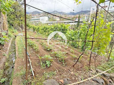 Armazém agrícola e terreno em Santo António, Funchal