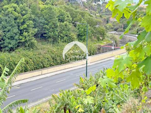 Armazém agrícola e terreno em Santo António, Funchal