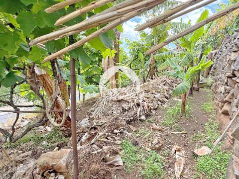 Armazém agrícola e terreno em Santo António, Funchal