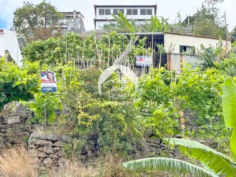 Armazém agrícola e terreno em Santo António, Funchal