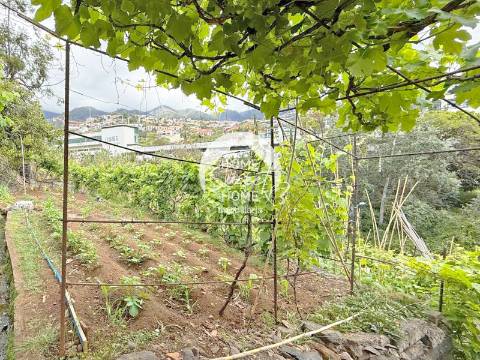 Armazém agrícola e terreno em Santo António, Funchal