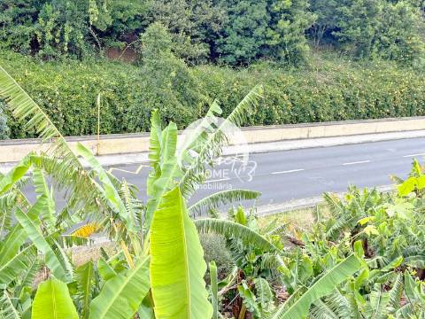 Armazém agrícola e terreno em Santo António, Funchal