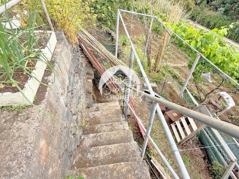 Armazém agrícola e terreno em Santo António, Funchal