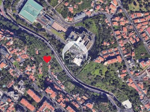 Armazém agrícola e terreno em Santo António, Funchal
