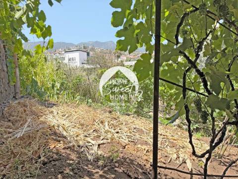 Armazém agrícola e terreno em Santo António, Funchal