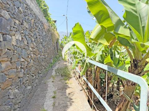 Armazém agrícola e terreno em Santo António, Funchal