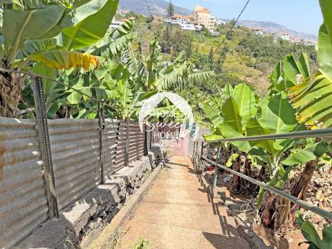 Armazém agrícola e terreno em Santo António, Funchal