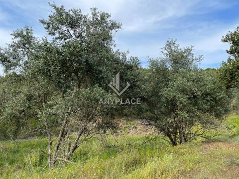 Herdade com enorme potencial.