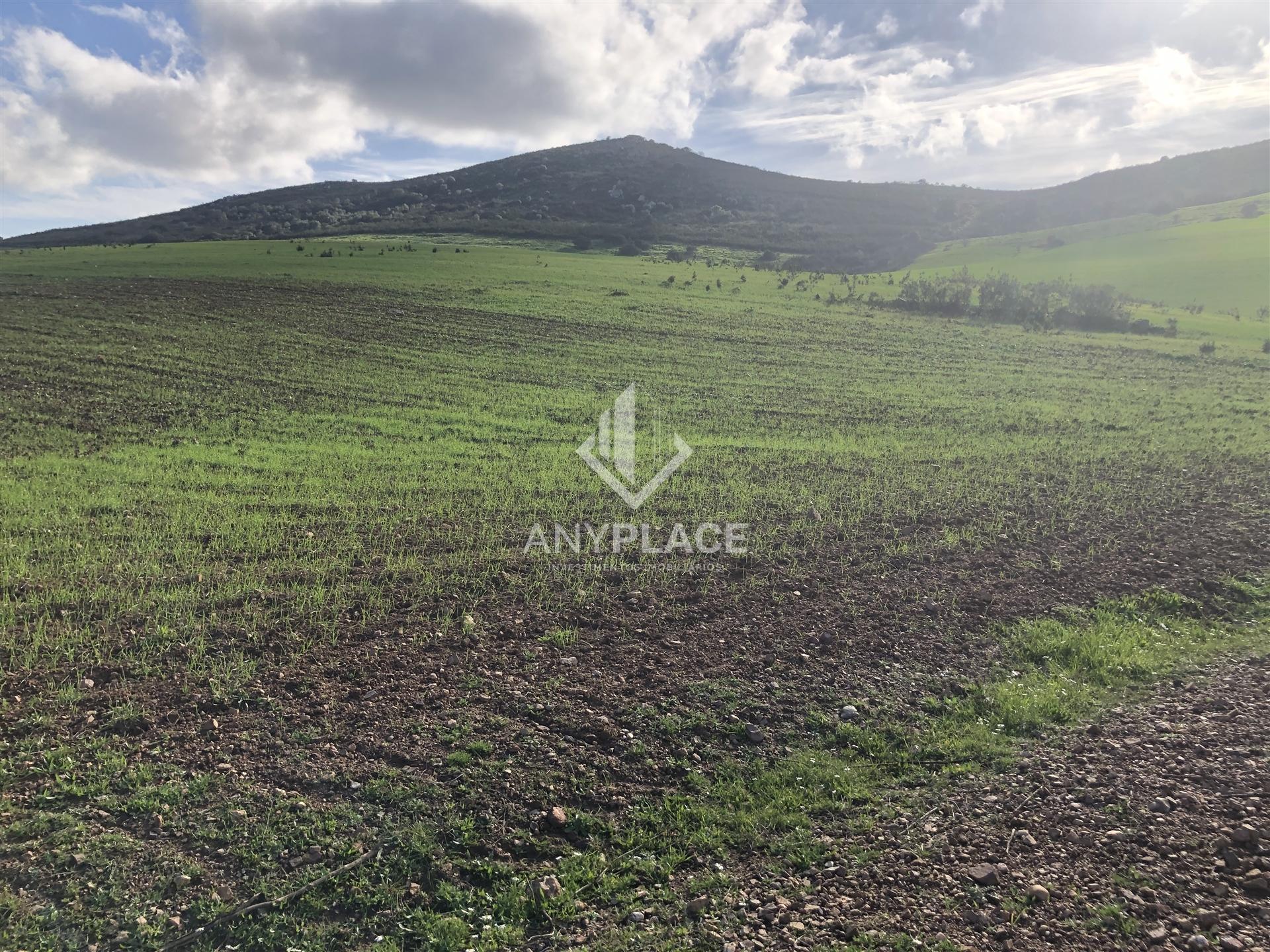 Terreno com enorme potencial com 58 ha