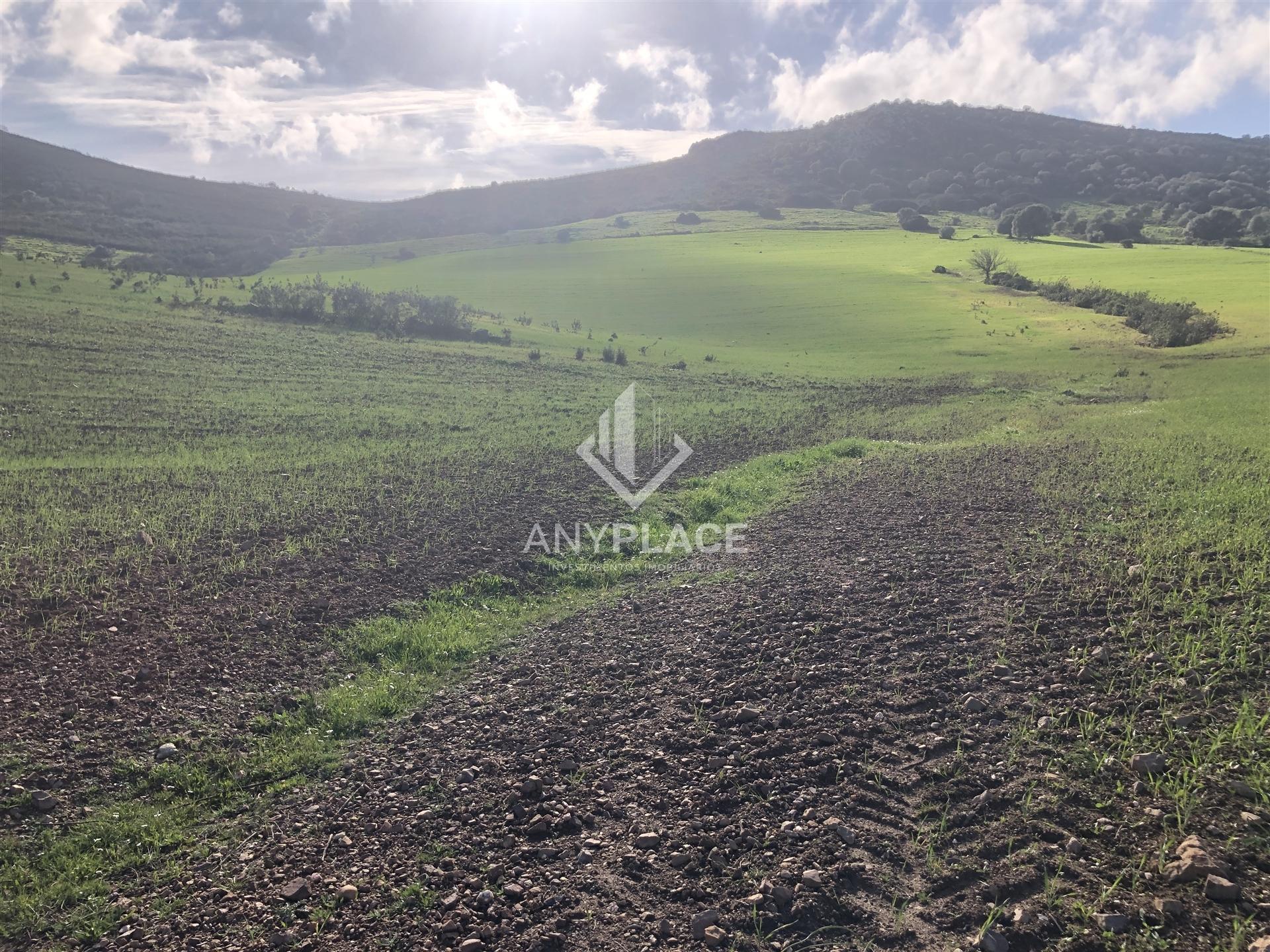 Terreno com enorme potencial com 58 ha