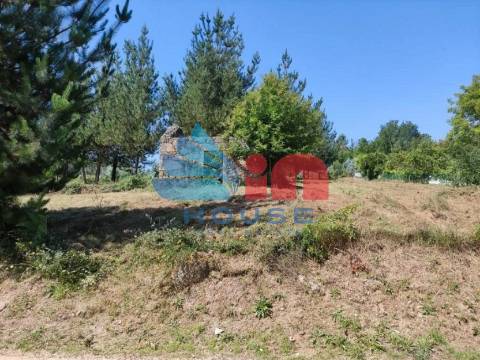 Terreno Misto  Venda em Couto de Baixo e Couto de Cima,Viseu