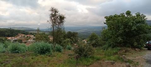 Terreno  Venda em Pinheiro da Bemposta, Travanca e Palmaz,Oliveira de Azeméis