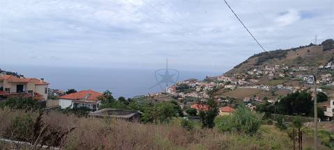 Terreno Urbano  Venda em Campanário,Ribeira Brava
