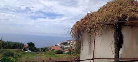 Terreno Urbano  Venda em Campanário,Ribeira Brava