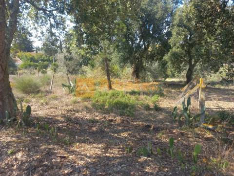 Terreno para construção em Coruche
