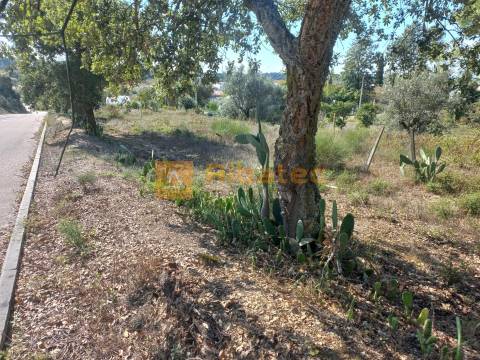 Terreno para construção em Coruche