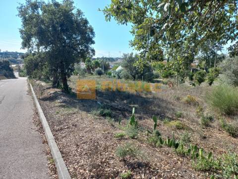 Terreno para construção em Coruche
