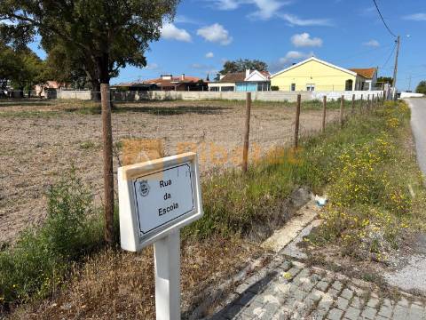 Terreno Para Construção  Venda em Coruche, Fajarda e Erra,Coruche