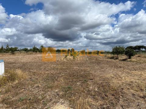 Terreno com arrecadação na Fajarda