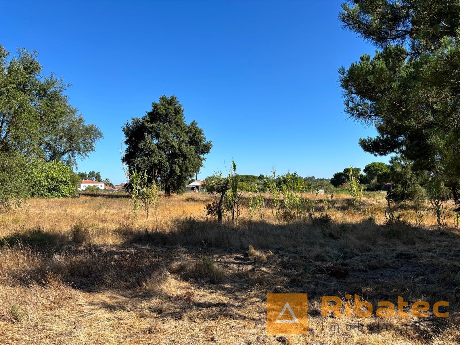 Terreno  Venda em Coruche, Fajarda e Erra,Coruche