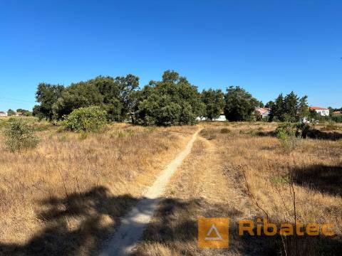 Terreno  Venda em Coruche, Fajarda e Erra,Coruche