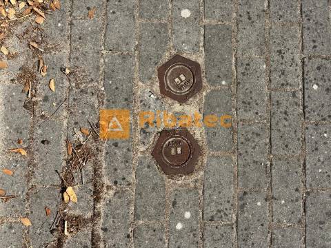 Terreno  Venda em Coruche, Fajarda e Erra,Coruche
