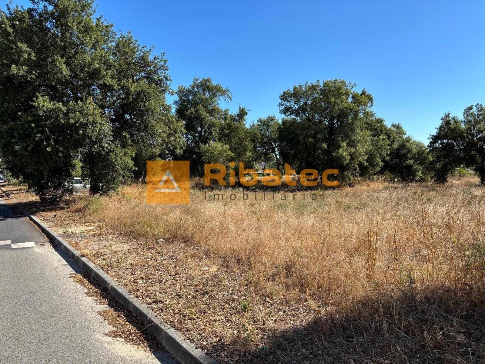 Terreno  Venda em Coruche, Fajarda e Erra,Coruche