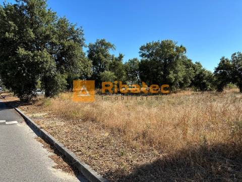 Terreno  Venda em Coruche, Fajarda e Erra,Coruche