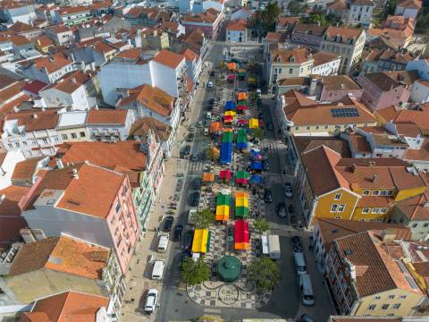Terreno Urbano para Construção a 15 minutos de Caldas da Rainha