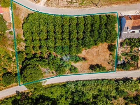 Terreno para construção de 3.650 m² – Caldas da Rainha