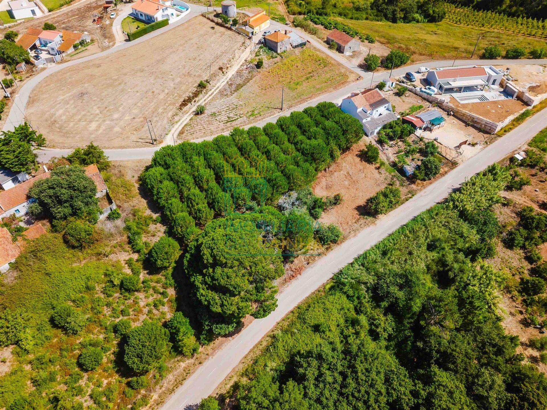 Terreno para construção de 3.650 m² – Caldas da Rainha
