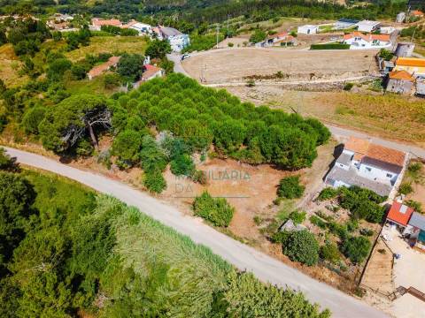 Terreno para construção de 3.650 m² – Caldas da Rainha