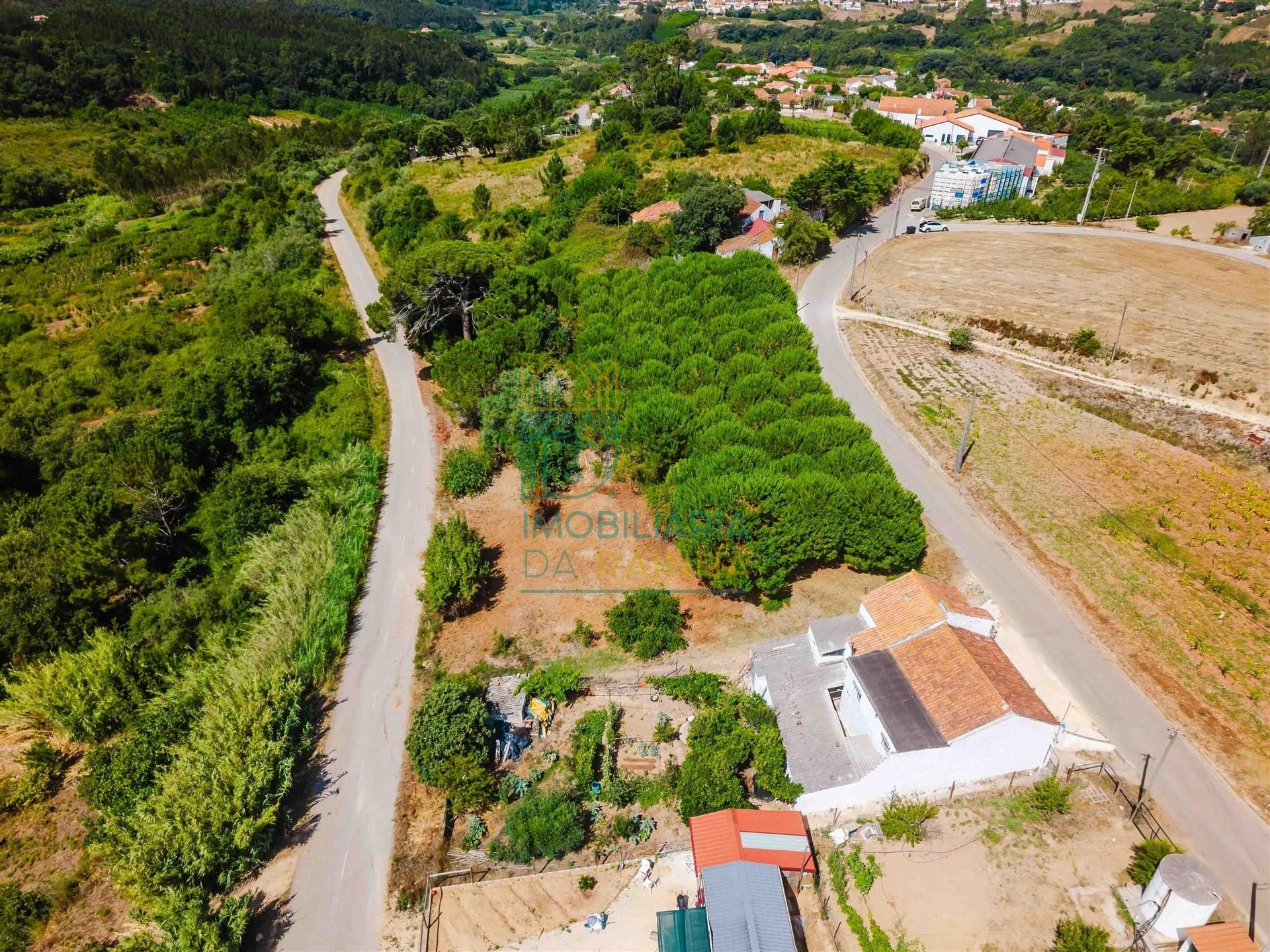 Terreno para construção de 3.650 m² – Caldas da Rainha