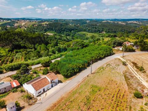 Terreno para construção de 3.650 m² – Caldas da Rainha
