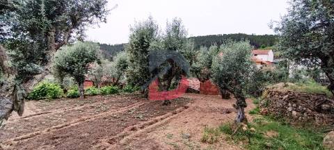 Quinta, 960 m2