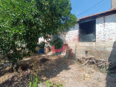 Terreno Urbano