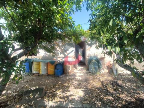 Terreno Urbano