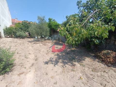 Terreno Urbano