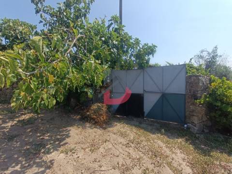 Terreno Urbano
