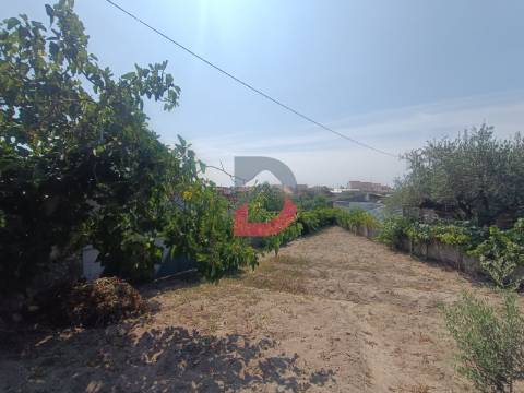 Terreno Urbano