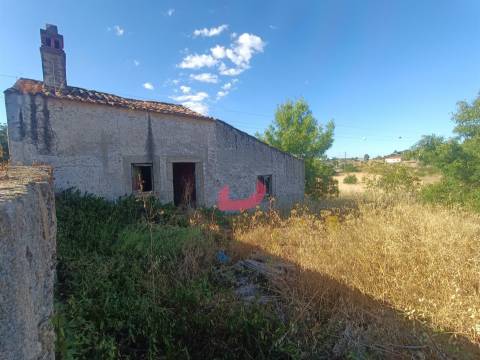 Quinta