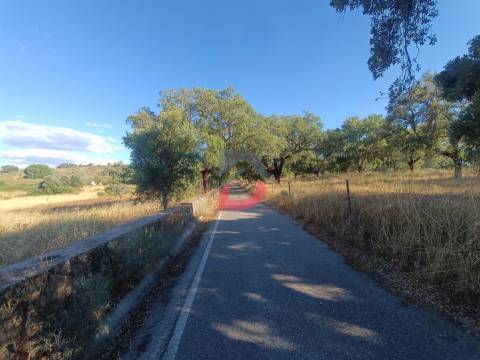 Quinta